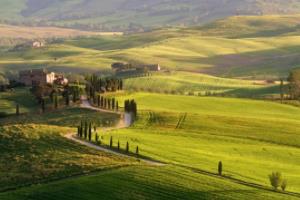 买足球买波胆是什么意思买足球买波胆是什么意思